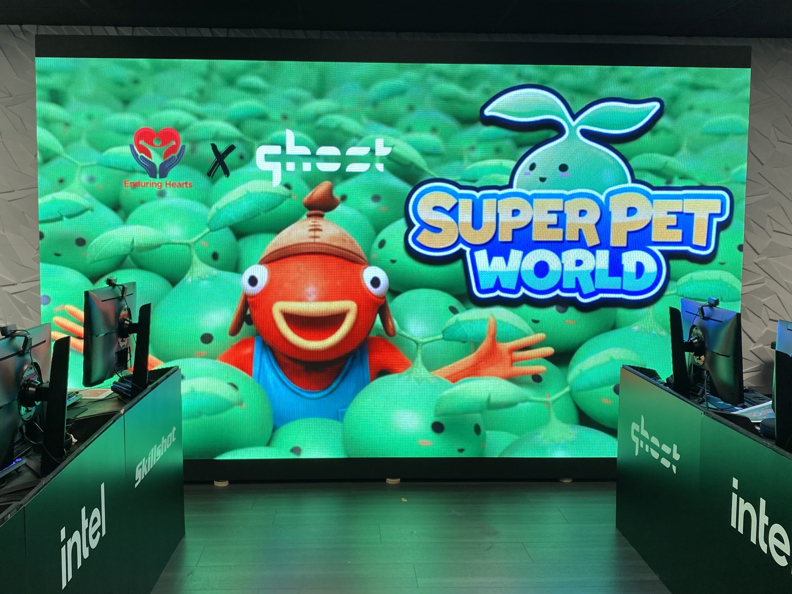 Fortnite’s ‘Super Pet World’ Launches Heartfelt Limited-Time Quest Supporting Pediatric Heart Transplant Research